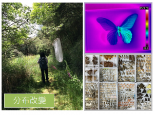分布改變