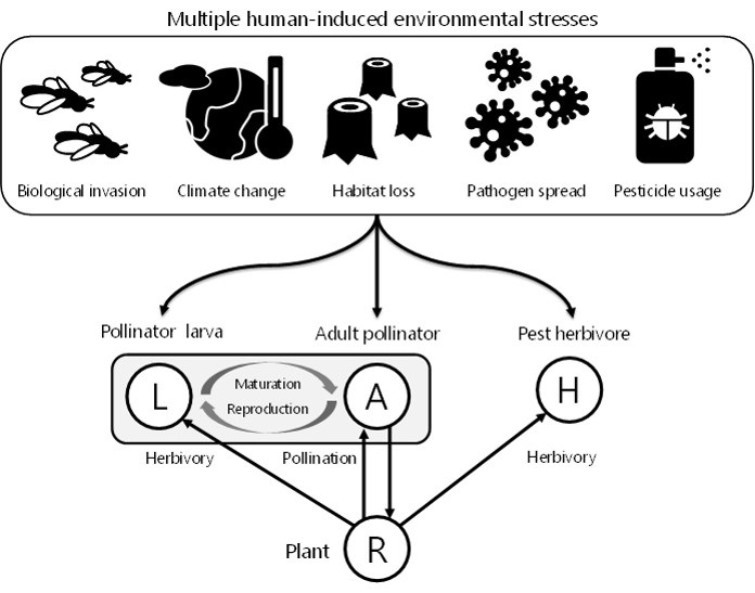 Multiple human-induced environmental stresses
