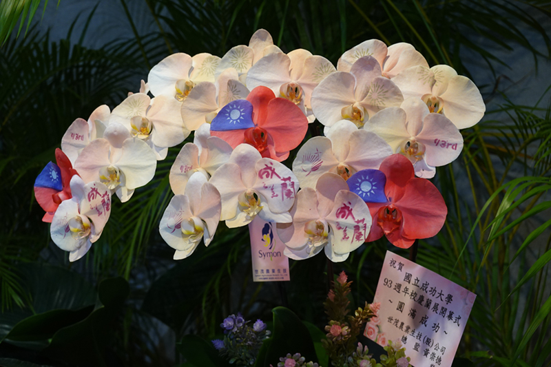 「成蘭之美」成大校慶秋季蘭展芬芳登場,即日起將在成功校區總圖書館 B1 展至 11 月 12 日
